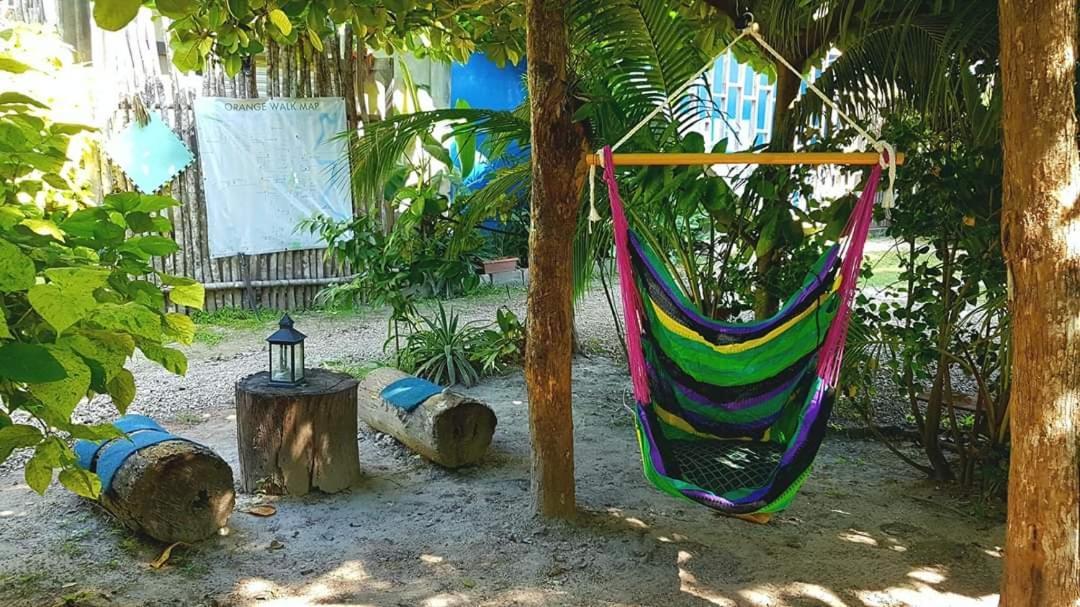 Casa Ricky'S Hostel Orange Walk Town Exterior photo