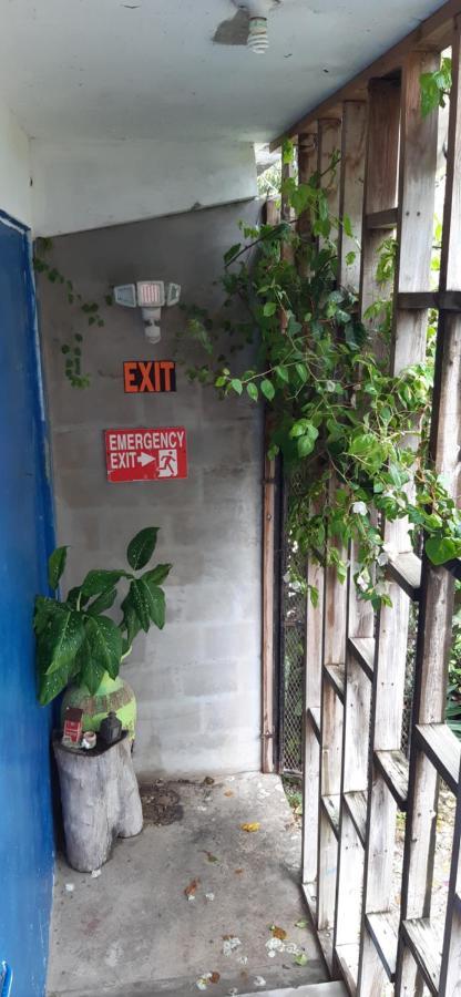 Casa Ricky'S Hostel Orange Walk Town Exterior photo